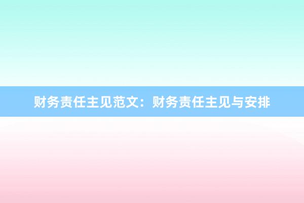 财务责任主见范文：财务责任主见与安排